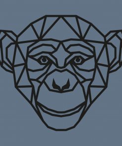 geometrisch vorm Hout Aap