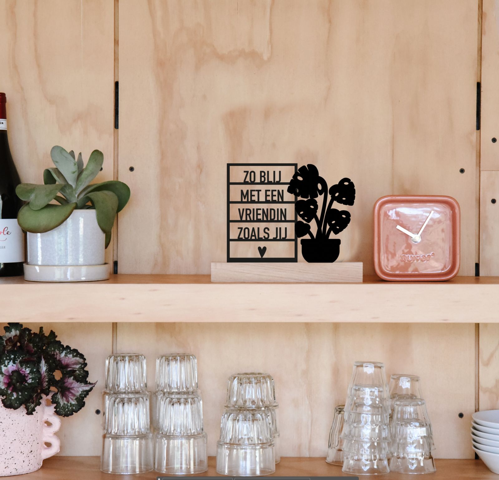 Zo blij met vriendin + Plant (Kant-en-klaar) - Afbeelding 2