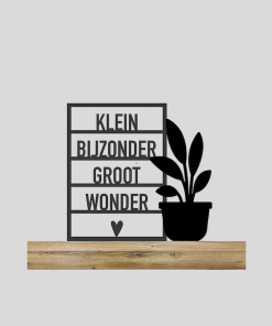 Kaart "Klein bijzonder" + Bloempot 1 (Kant-en-klaar)