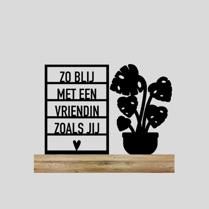 Zo blij met vriendin + Plant (Kant-en-klaar)