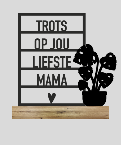Trots liefste mama + Plant 4 (Kant-en-klaar)
