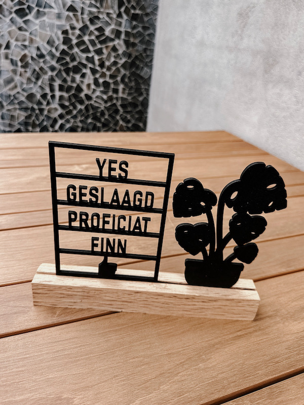 Element raam "Yes Geslaagd" gepersonaliseerd met naam - Afbeelding 3